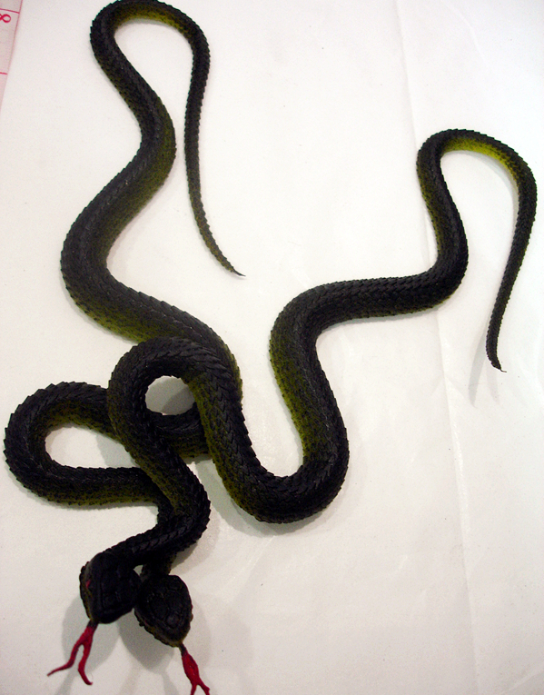 Snake (M)